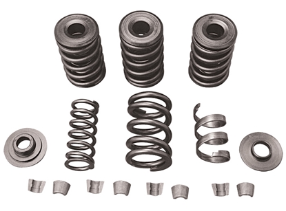 Picture of PERFORMANCE VALVE SPRING KITS FOR EVOLUTION MODELS & TWIN CAM