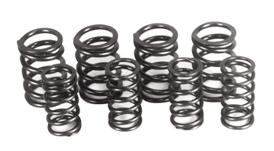 Picture of PAUGHCO VALVE SPRING SETS FOR BIG TWIN & SPORTSTER