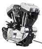 Picture of SEE RS COMPLETE ENGINE 1200CC SPT EVO 5SPD RR BELT 96/L* BLK CP W/CARB IGN & ALT 16068-02