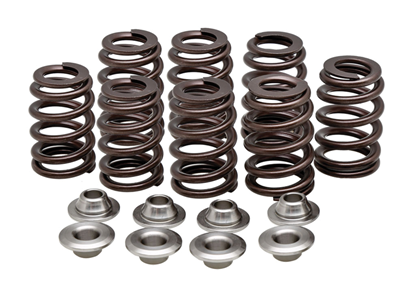 Picture of VALVE SPRING KITS