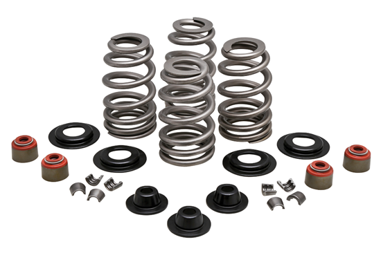 Picture of VALVE SPRING KIT FOR TWIN CAM