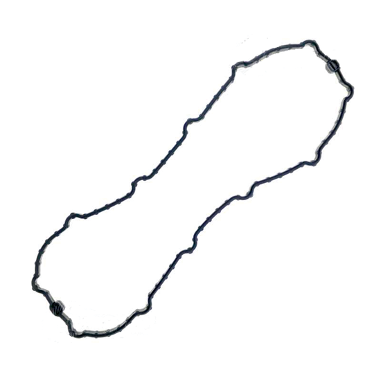 Picture of ELECTRONIC FUEL PUMP DOOR GASKET