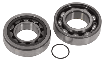 Picture of OUTER CAM BEARING KIT TWIN CAM 99/06 (EX DYNA 2006) REPLACES H-D 8983 & 8990A