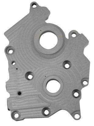 Picture of CAM SUPPORT PLATE FOR MILWAUKEE-EIGHT MODELS