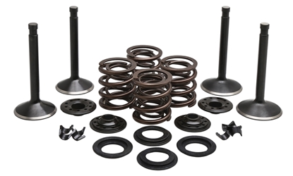 Picture of VALVE TRAIN COMPONENT KIT FITS 1948-1965 PANHEAD,.415 LIFT,COMPLETE KIT 20-22050