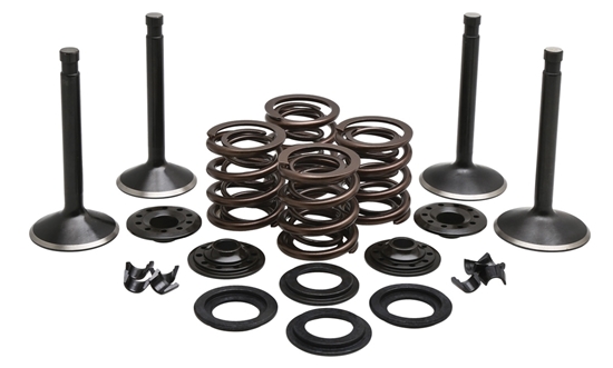 Picture of VALVE TRAIN COMPONENT KIT FITS 1948-1965 PANHEAD,.415 LIFT,COMPLETE KIT 20-22050