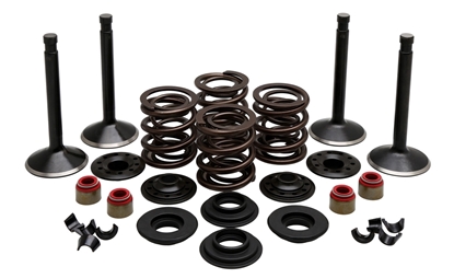 Picture of VALVE TRAIN COMPONENT KIT FITS 1948-1965 PANHEAD,.415 LIFT,COMPLETE KIT 20-22150