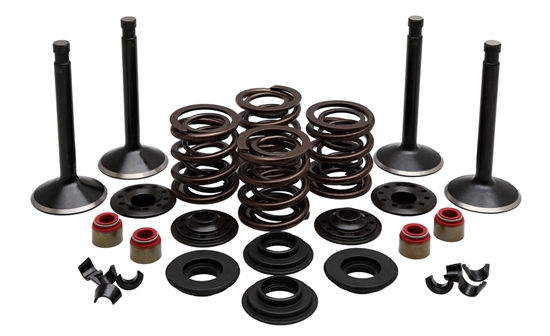 Picture of VALVE TRAIN COMPONENT KIT FITS 1948-1965 PANHEAD,.415 LIFT,COMPLETE KIT 20-22150