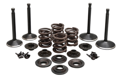 Picture of VALVE TRAIN COMPONENT KIT FITS 1957-1969 XL, .400 LIFT COMPLETE KIT 20-22250