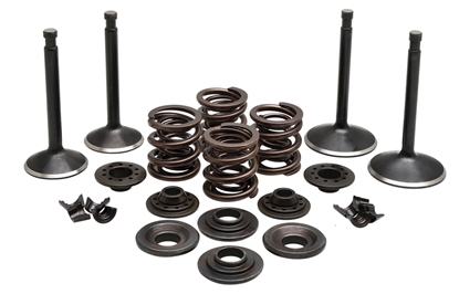 Picture of VALVE TRAIN COMPONENT KIT FITS 1970-1983 XL,.400 LIFT COMPLETE KIT 20-22350