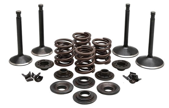 Picture of VALVE TRAIN COMPONENT KIT FITS 1970-1983 XL,.400 LIFT COMPLETE KIT 20-22350