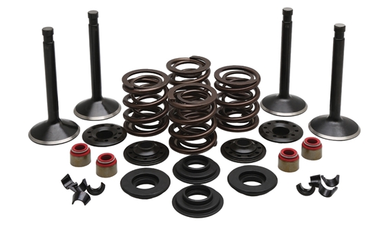 Picture of VALVE TRAIN COMPONENT KIT FITS 1966-1977 SHOVEL 74",.415 LIFT,COMPLETE KIT 20-22450