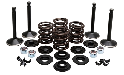 Picture of VALVE TRAIN COMPONENT KIT FITS 1978-1983 SHOVEL 80",.415 LIFT,COMPLETE KIT 20-22550