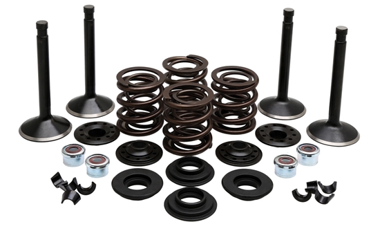 Picture of VALVE TRAIN COMPONENT KIT FITS 1978-1983 SHOVEL 80",.415 LIFT,COMPLETE KIT 20-22550