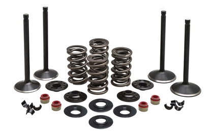 Picture of VALVE TRAIN COMPONENT KIT FITS 1984-1999 EVOLUTION,.600 LIFT,COMPLET KIT 20-22650