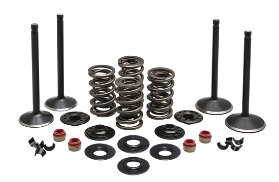 Picture of VALVE TRAIN COMPONENT KIT FITS 1986-2003 XL 883,.600 LIFT,COMPLETE KIT 20-22750