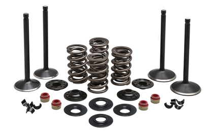 Picture of VALVE TRAIN COMPONENT KIT FITS 1988-2003 XL 1200,.600 LIFT,COMPLETE KIT 20-23050