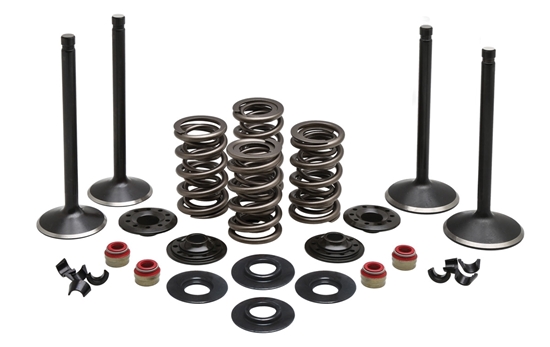 Picture of VALVE TRAIN COMPONENT KIT FITS 1988-2003 XL 1200,.600 LIFT,COMPLETE KIT 20-23050