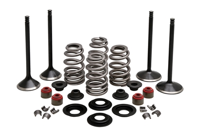 Picture of VALVE TRAIN COMPONENT KIT FITS 2004-2021 XL 1200,.610 LIFT,COMPLETE KIT 20-22950