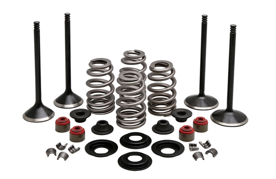 Picture of VALVE TRAIN COMPONENT KIT FITS 2004-2021 XL 1200,.610 LIFT,COMPLETE KIT 20-22950