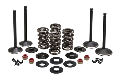 Picture of VALVE TRAIN COMPONENT KIT FITS 1999-2004 TWIN CAM 88" .600 LIFT,COMP KIT 20-22850