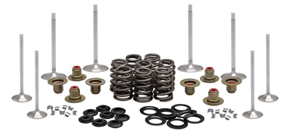 Picture of VALVE TRAIN COMPONENT KIT FITS 2017/LATER M8,.465 LIFT COMPLETE KIT 20-23350