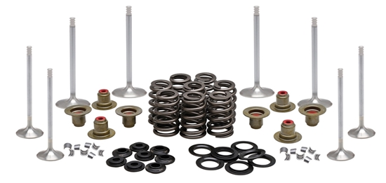 Picture of VALVE TRAIN COMPONENT KIT FITS 2017/LATER M8,.465 LIFT COMPLETE KIT 20-23350