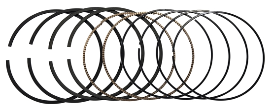 Picture of PISTON RINGS, HASTINGS STD. M8 107" STD HASTINGS 2C-5231-STD