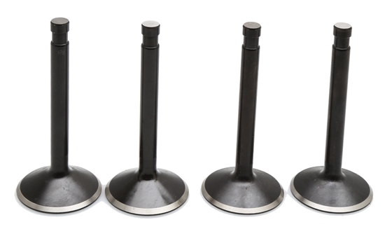 Picture of VALVE KIT,2 INT,2 EXH FITS 1957/1969 XL BLACK DIAMOND KPMI 20-22200