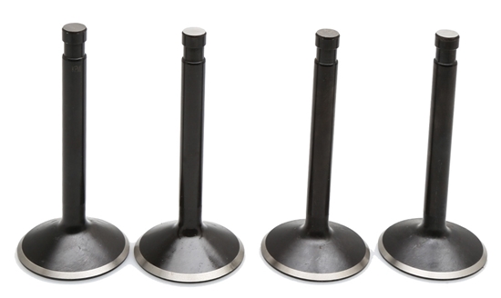 Picture of VALVE KIT,2 INT,2 EXH FITS 1966/1977 SHOVELHEAD 74" BLACK DIAMOND KPMI 20-22400