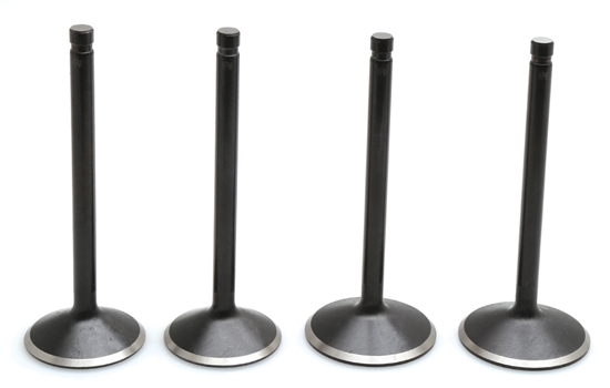 Picture of VALVE KIT,2 INT,2 EXH FITS 1988/2003 EVO XL 1200CC BLACK DIAMOND KPMI 20-22800