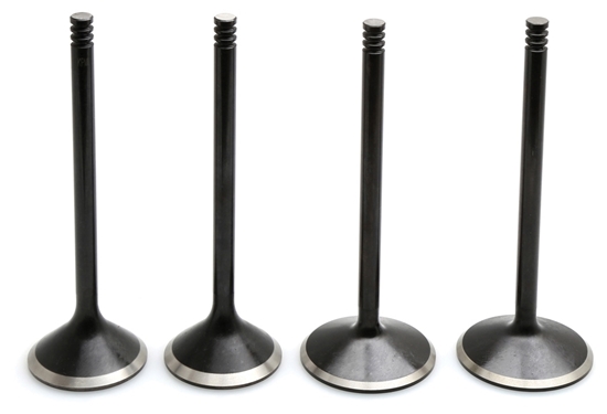 Picture of VALVE KIT,2 INT,2 EXH FITS 2005/2017 TC 88"-103" BLACK DIAMOND KPMI 20-23100