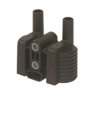Picture of EFI COILS